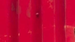 Enrique Tarrio arrested