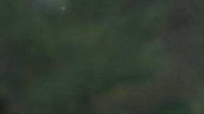 Rodney and Ekaterina Baker