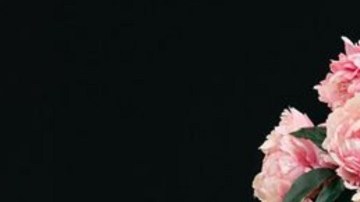 selena gomez spanish album hiplatina