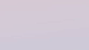 Trump supporters riot in Capitol