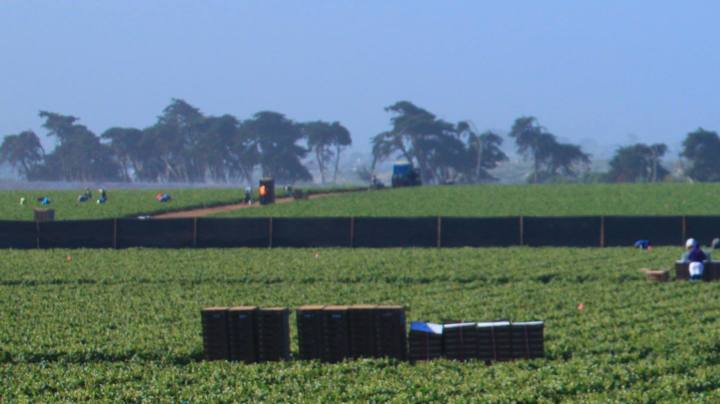 farmworkers hero pay