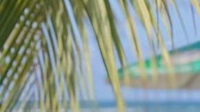 Nydia Simone Blactina