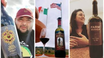 Latino-Owned Wines