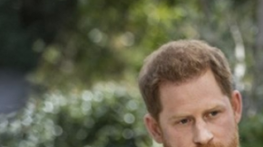 Meghan Markle Prince Harry Oprah