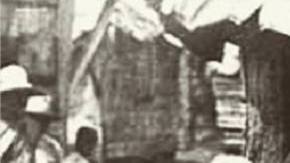 puerto rico emancipation day hiplatina