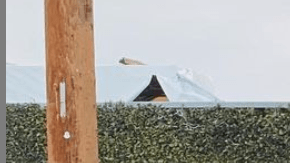 Violence against Street Vendors