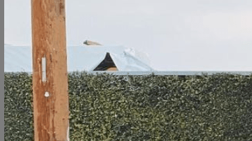 Violence against Street Vendors