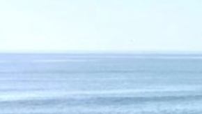 surfer katherine diaz killed