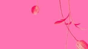 mujeres will riot karina daza hiplatina