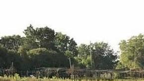 farmworkers-healing-voices