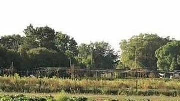 farmworkers-healing-voices