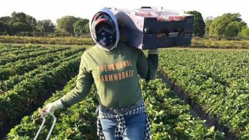 farmworkers-healing-voices