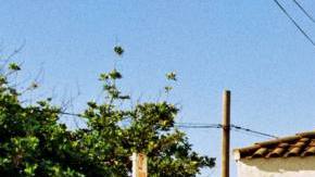 ice-cream-vendor-attack