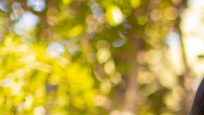 juliana-urtubey-teacher-of-the-year