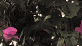 postpartum depression hiplatina