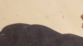 latino dads hiplatina