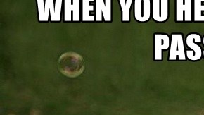 chasing the paletero man