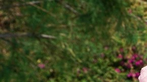 Latinx-owned ice cream shops