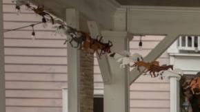 Josephine Caminos Oría Sobremesa