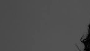 Tatiana Huezo "Prayers for the Stolen"