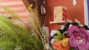 cardi b indya moore hiplatina