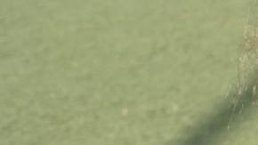 latinx kids hipHispanic Heritage Month Kid friendly latina