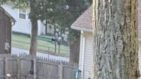 hispanic heritage month school hiplatina