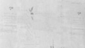 Frida Kahlo "Diego y Yo"