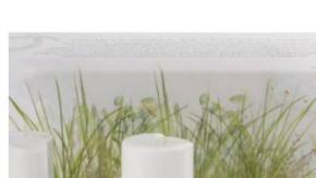 Indigenous brands gift guide