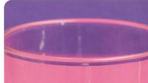 Latina owned jefa gifts