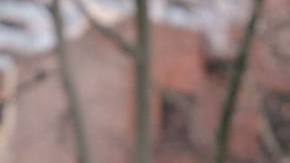 Toxic family holidays