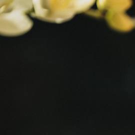 BrujasEnergyProtection2022