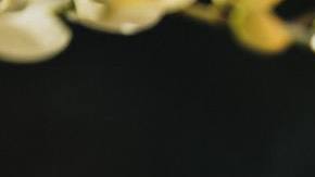 BrujasEnergyProtection2022