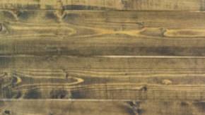 Adriana Alejandre Latinx Therapy