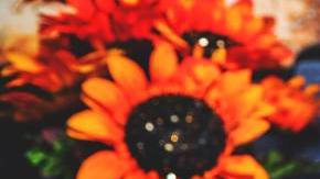 margaritas latinx owned