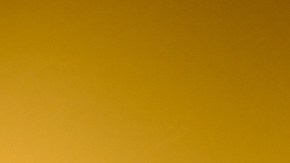 paola velez bakers against racism