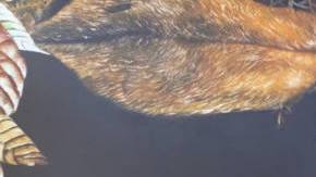 Frida Kahlo immersive experience