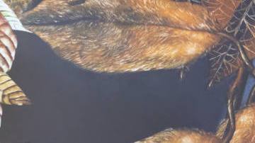 Frida Kahlo immersive experience