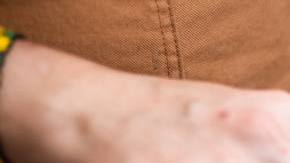 Latin food is healthy