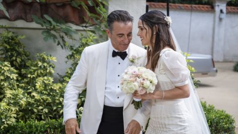 Father of the Bride Andy Garcia