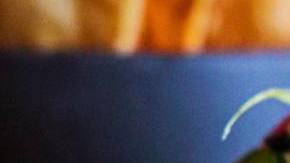 Ceviche indigenous history