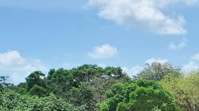 thompson family father's day