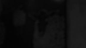 Ada Limón Poet Laureate