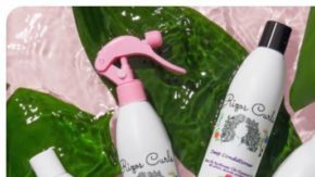 Afro-LatinxLifestyleBrands2022HL