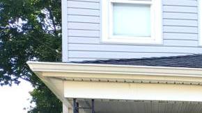 Image Credit: Shayne Rodriguez Thompson