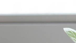 Building generational wealth