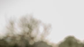 Leslie Priscilla Latinx Parenting