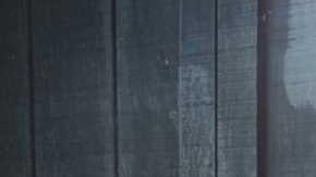 Shakira Barrera Ironheart