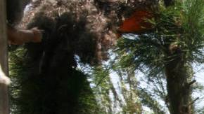 Haunted places in LATAM