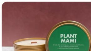 Latina owned candles